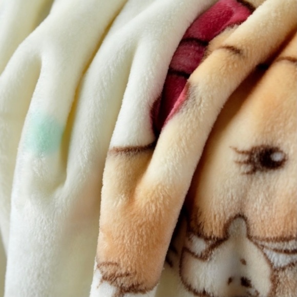 Super Soft Silky Baby Blanket 39" x 55" Two Bears New Cloud Baby Blanket - Picture 8 of 10